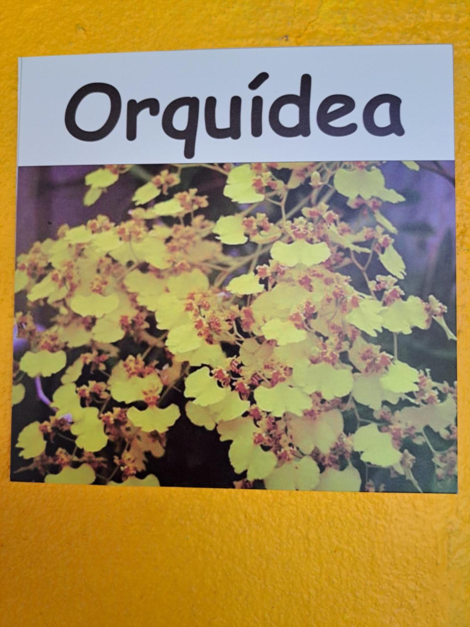 Pousada Recanto das Flores Abraão Exterior foto